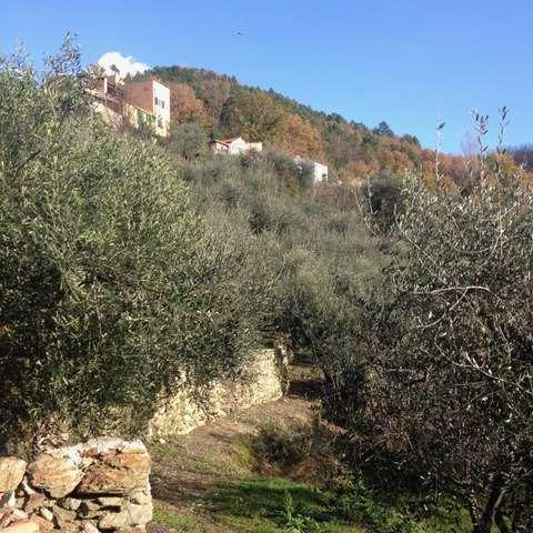 Vendita vendita, Orco Feglino foto