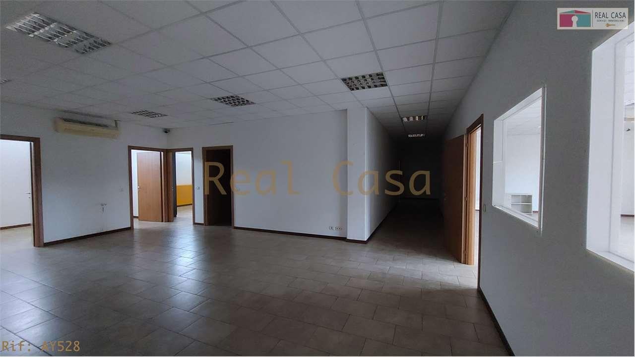 Affitto affitto, Modena foto