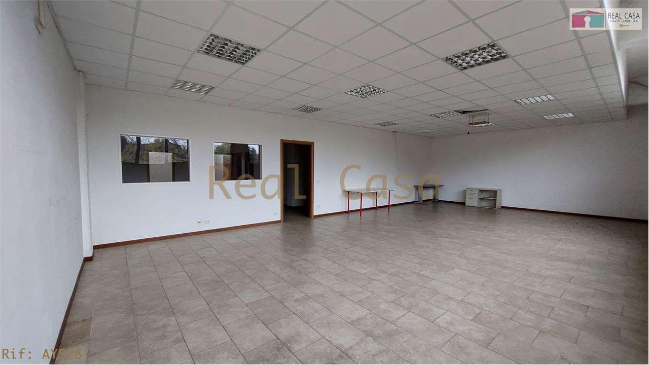 Vendita vendita, Modena foto