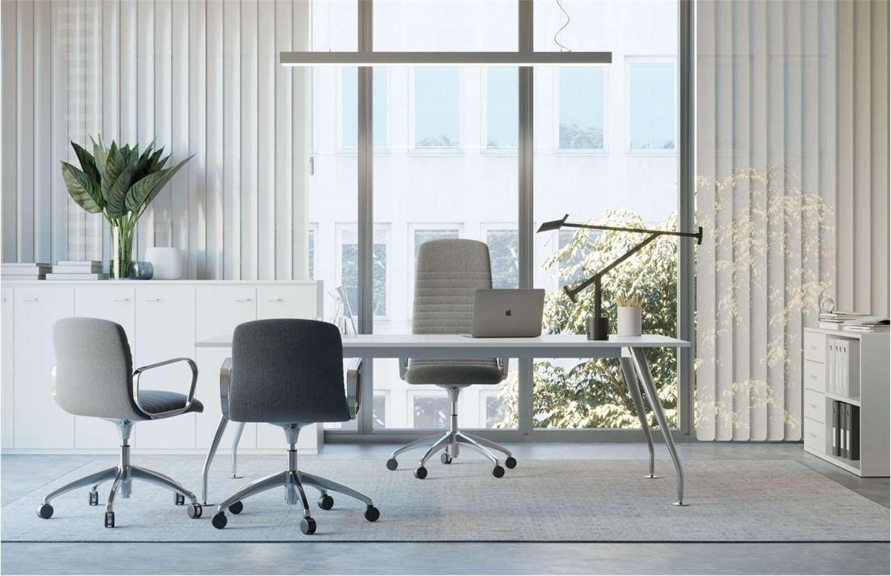 Affitto affitto, Cecina foto