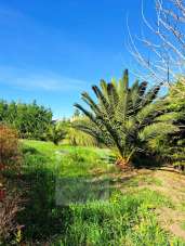 Vendita Terreno, Cupello