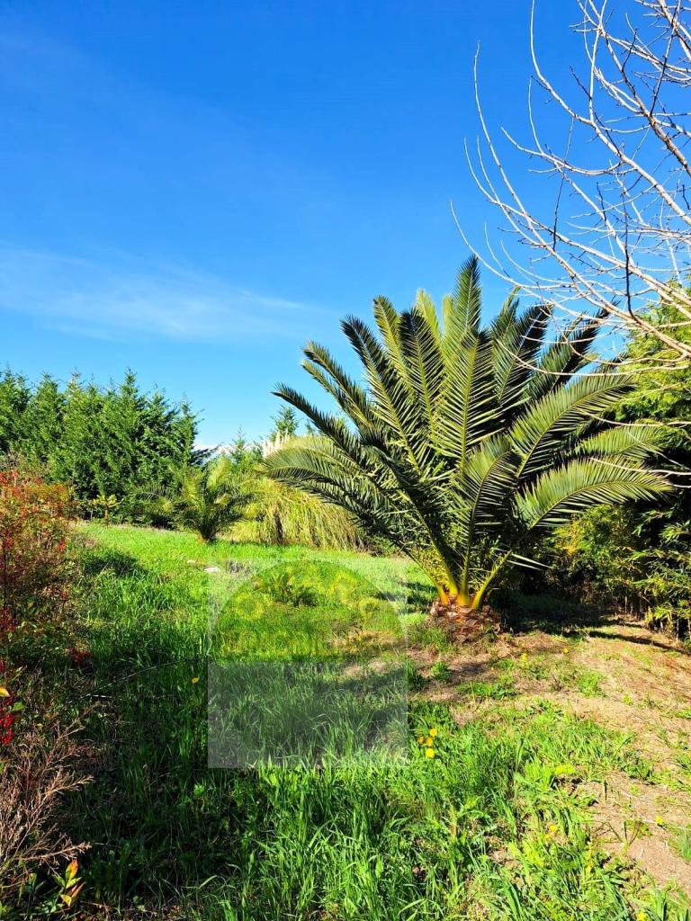 Vendita Terreno, Cupello foto
