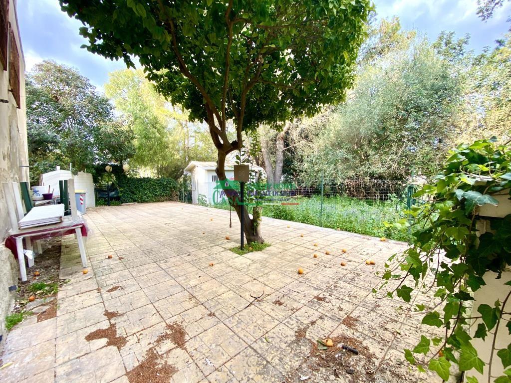 Vendita Esavani, Sarzana foto