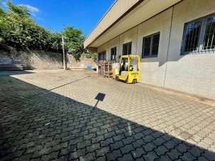 Vendita Pentavani, Ameglia