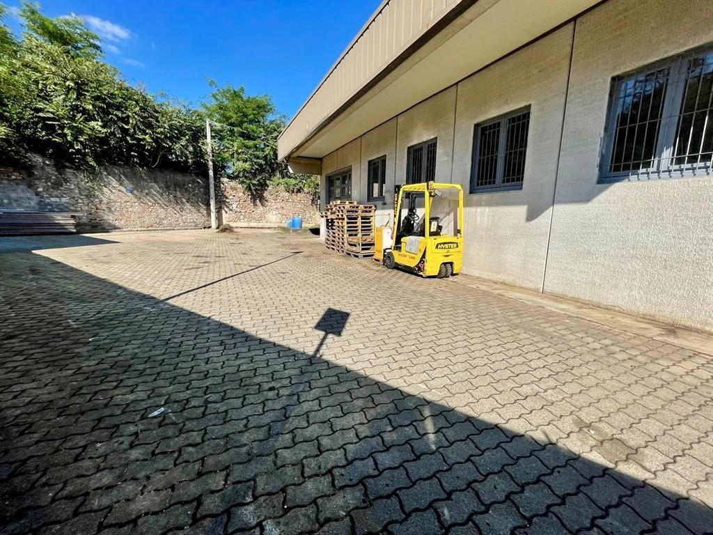 Vendita Pentavani, Ameglia foto