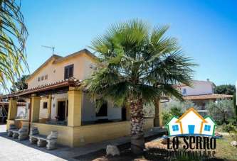 Vendita Trivani, Castelvetrano