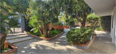 Affitto affitto, Trani Affitto affitto, Trani