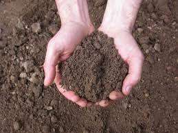 Vendita vendita, Marsala Vendita vendita, Marsala