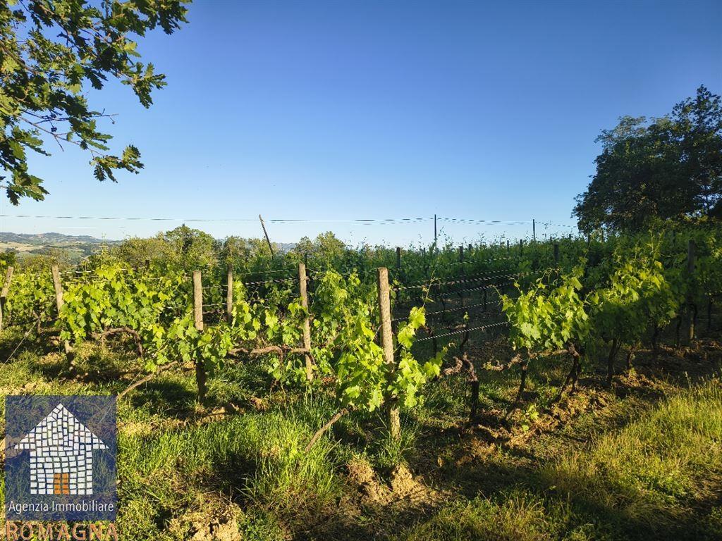 Vendita Terreno Agricolo, Forli foto