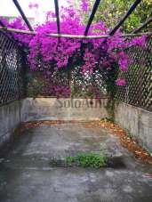 Affitto Monovano, Forio