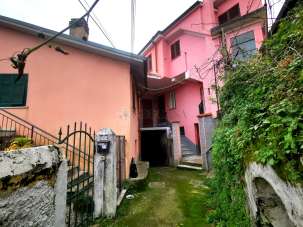 Vendita Trivani, Follo