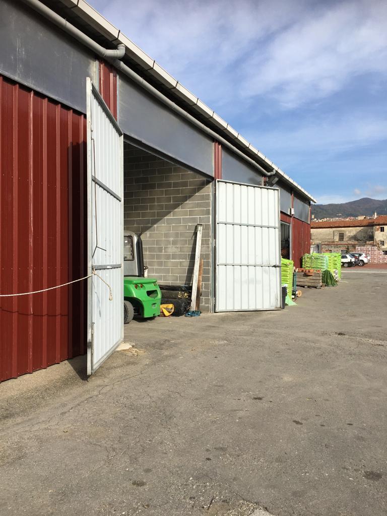 Affitto Monovano, Sarzana foto