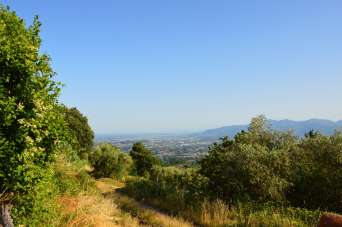 Vendita Ville, Capannori