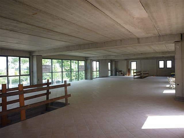 Vendita Trivani, Lucca foto