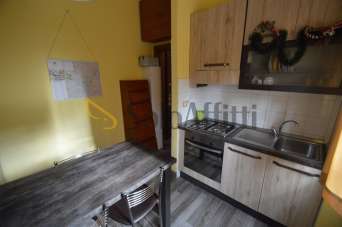 Affitto Monovano, Opera