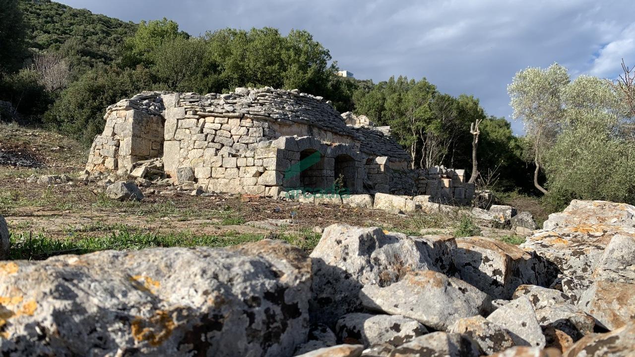 Vendita Trivani, Monopoli foto