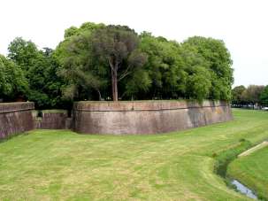 Vendita Multivani, Altopascio