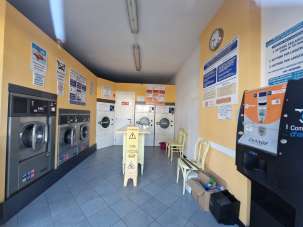 Affitto Monovano, Lucca