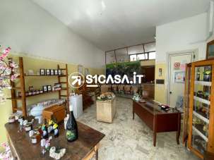 Affitto Monovano, Galatone Affitto Monovano, Galatone