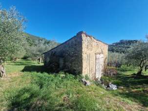 Vendita Bivani, Lugnano in Teverina