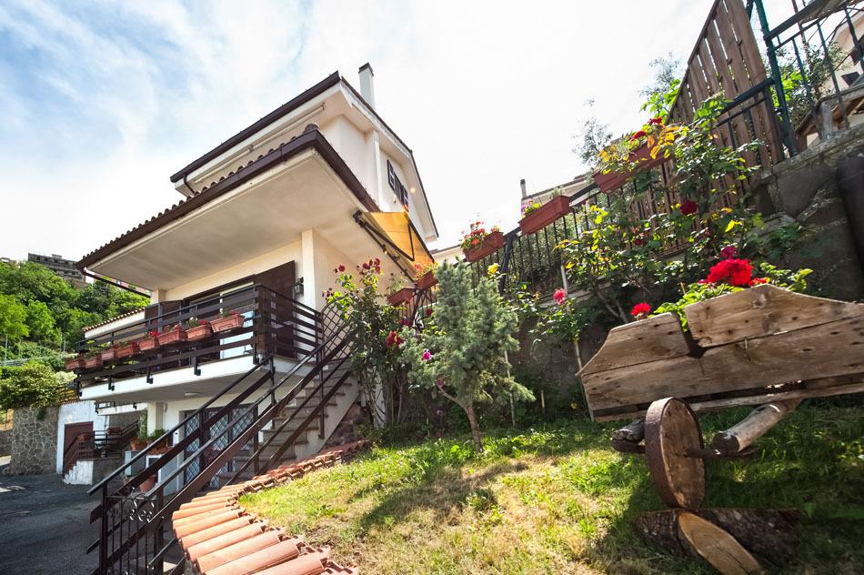 Vendita Multivani, Rocca di Papa foto