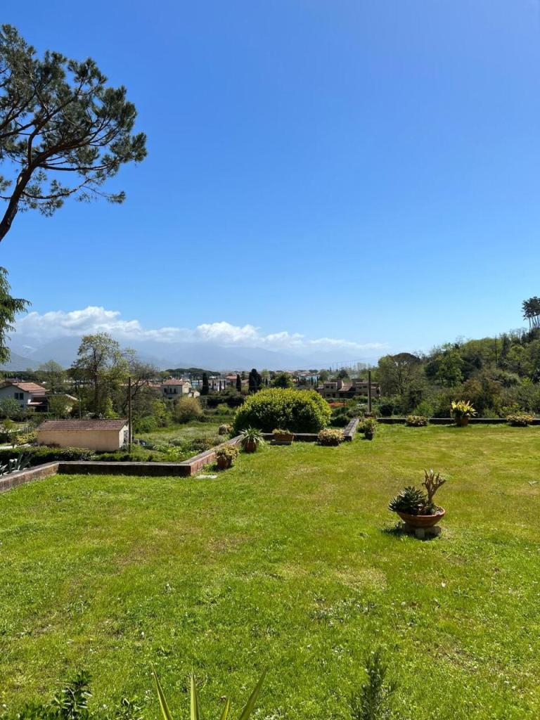 Vendita Bivani, Ameglia foto