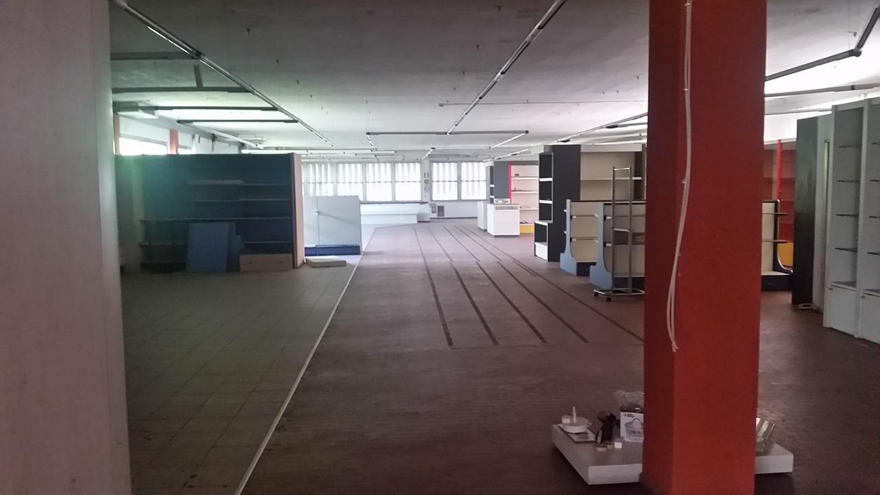 Vendita Multivani, Lucca foto