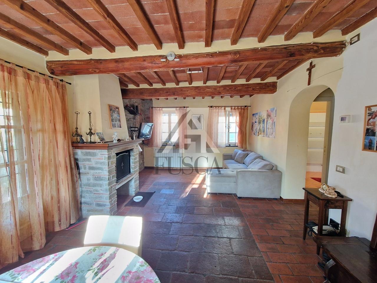 Vendita Multivani, Lucca foto