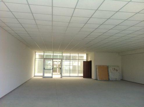 Mieten Industriale, Lucca foto