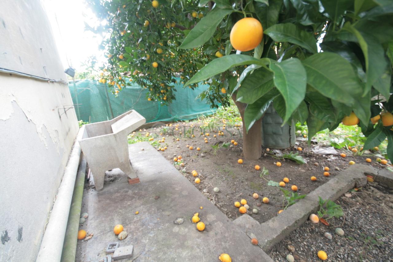 Vendita Quadrivani, La Spezia foto