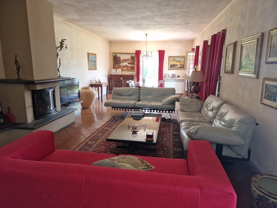 Vendita Multivani, Sarzana foto