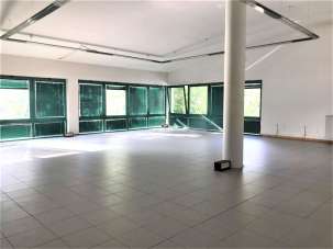 Affitto affitto, Lucca