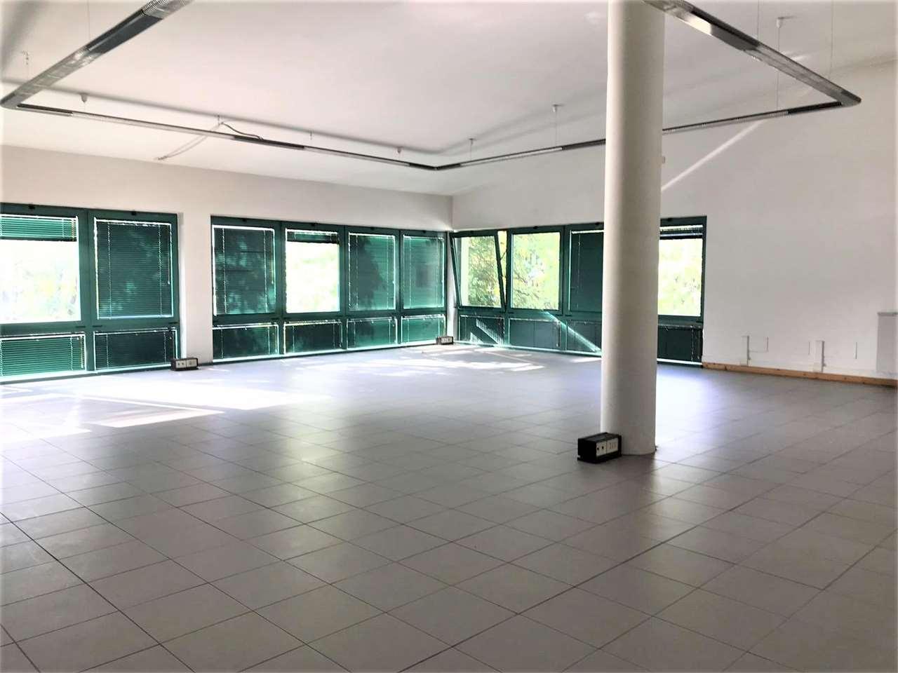 Affitto affitto, Lucca foto