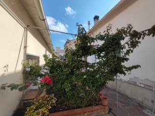 Vendita Pentavani, Campiglia Marittima