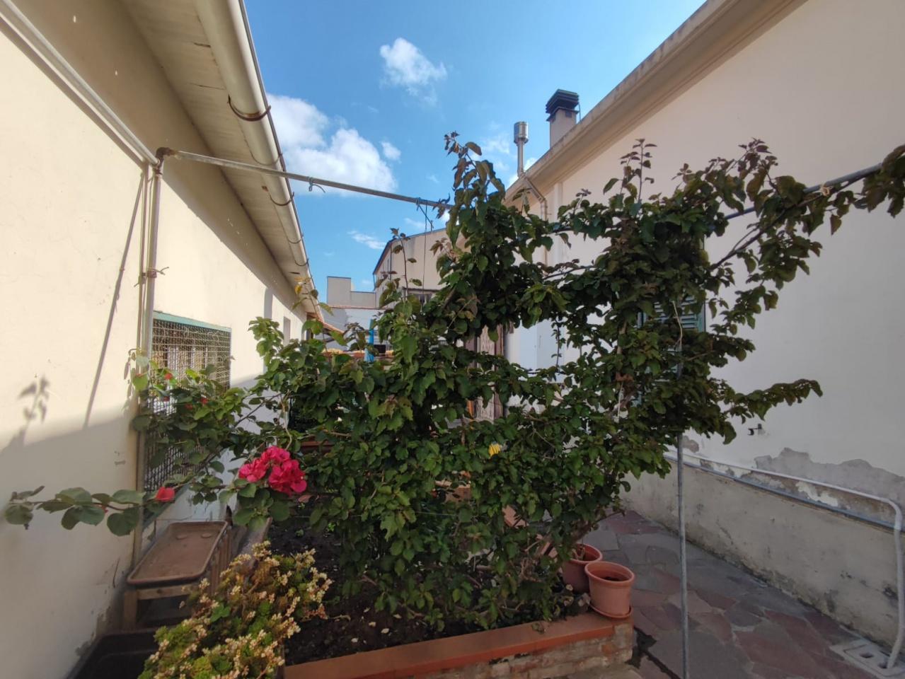 Vendita Pentavani, Campiglia Marittima foto