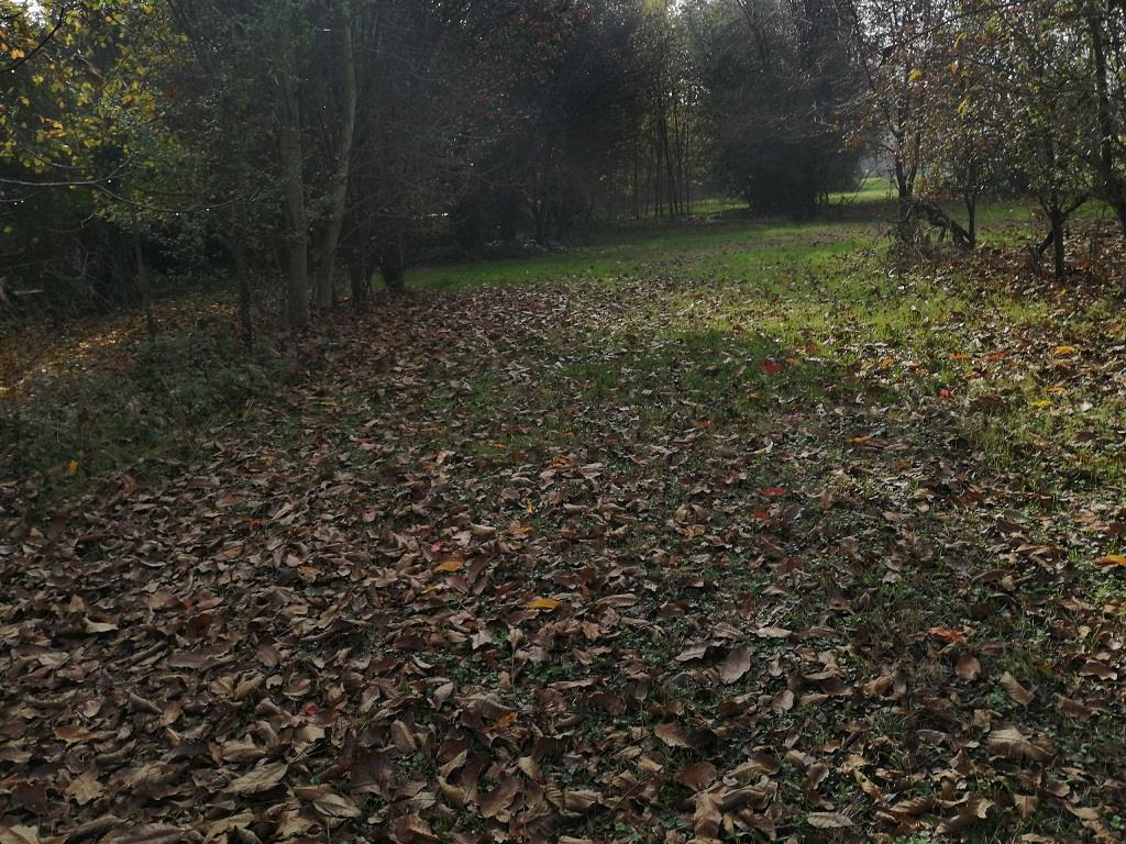 Vendita Rustico, Pontenure foto