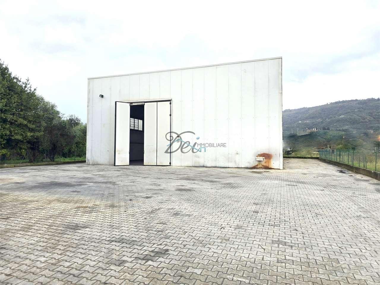 Affitto affitto, Uzzano foto