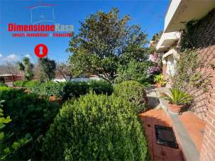 Vendita vendita, Cicciano