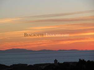 Vendita Multivani, Livorno