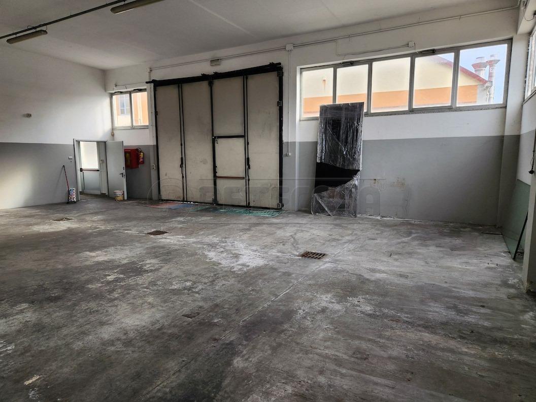 Affitto Trivani, Santa Croce sull'Arno foto