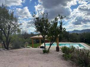 Vendita Esavani, Olbia