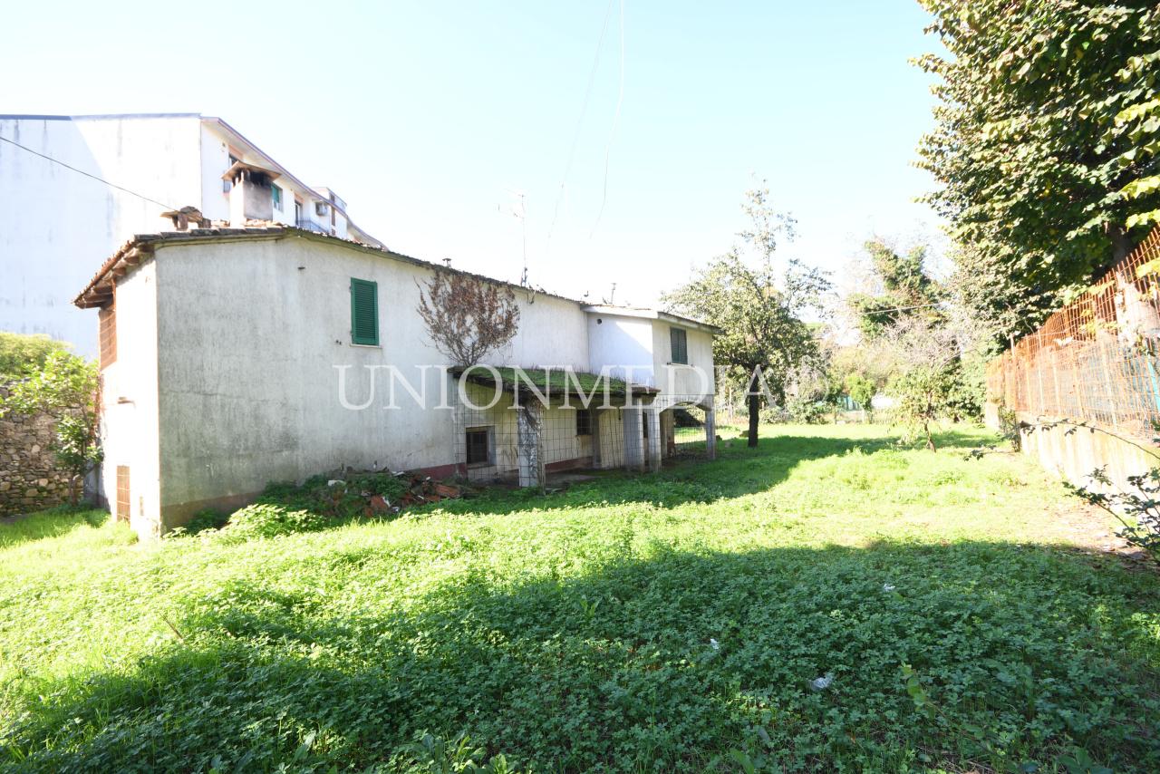 Vendita Multivani, Sarzana foto