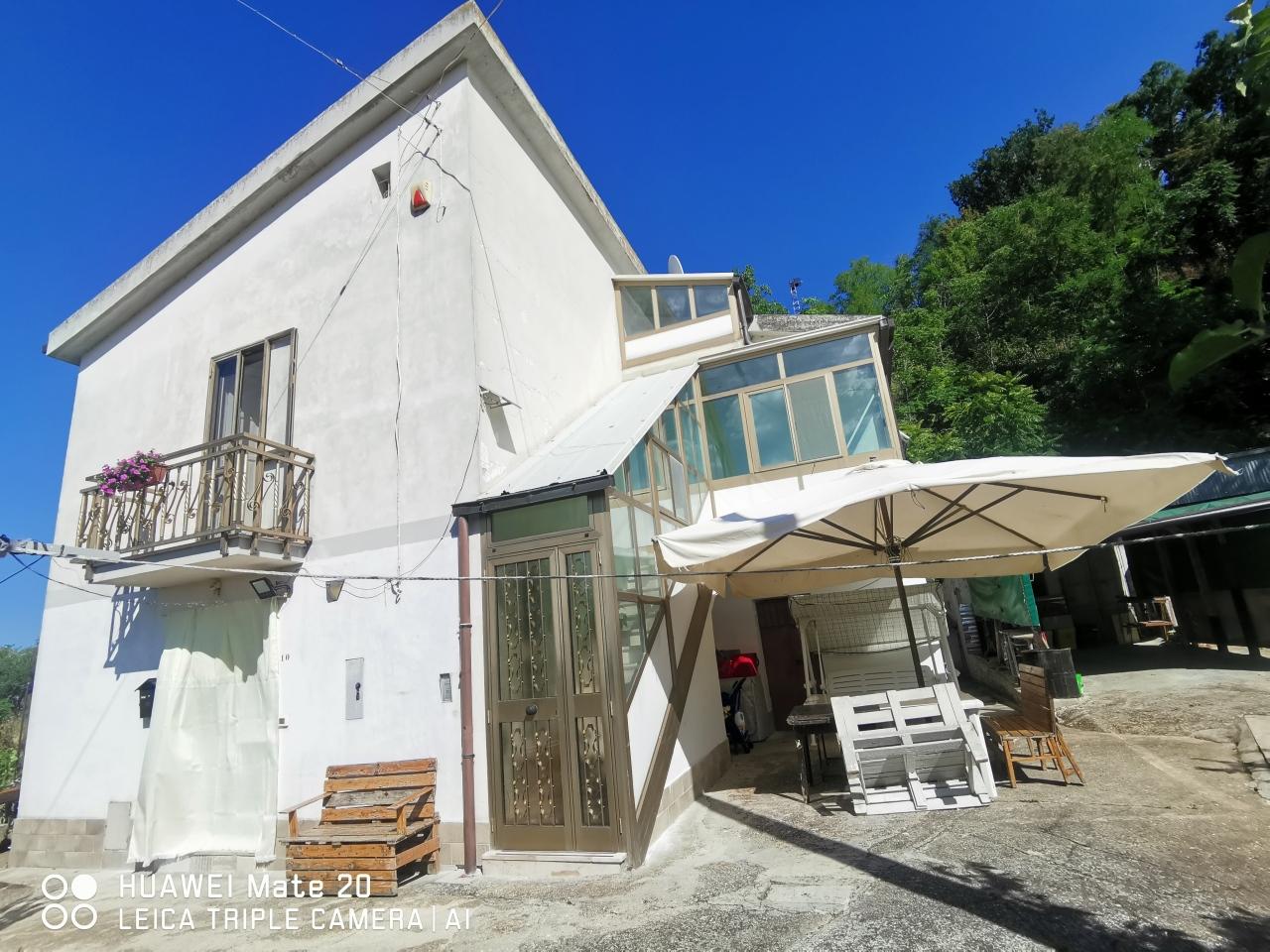 Vendita Eptavani, Penne foto