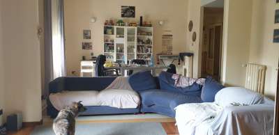 Vendita Pentavani, Pavia