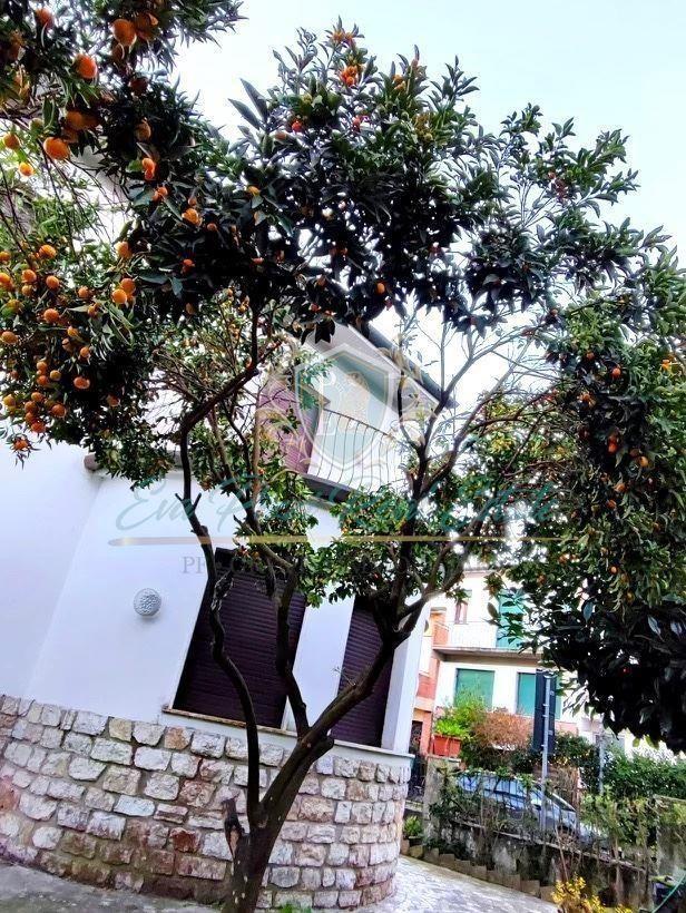 Vendita Villa, Viareggio foto