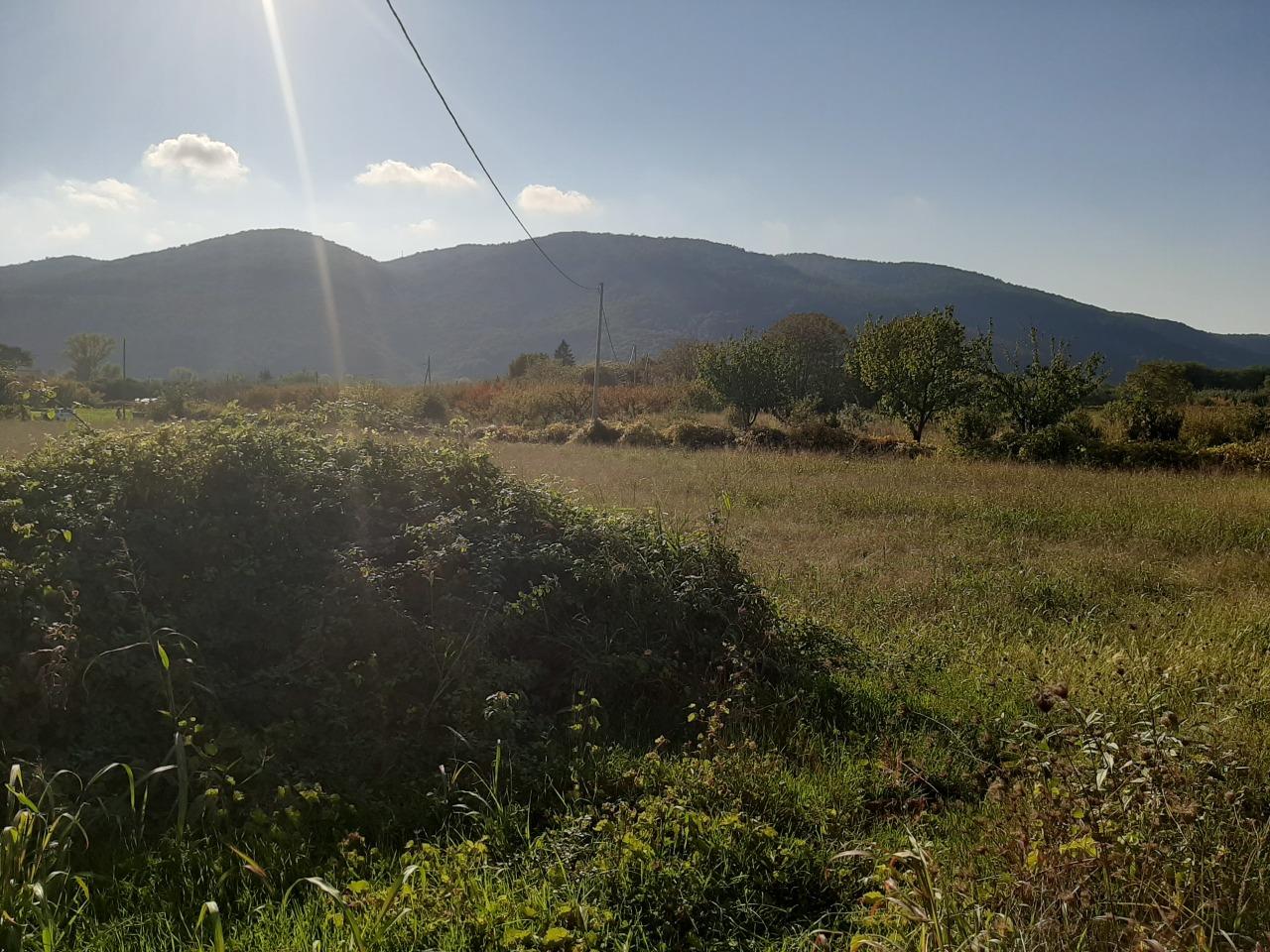 Vendita Terreni, Sarzana foto