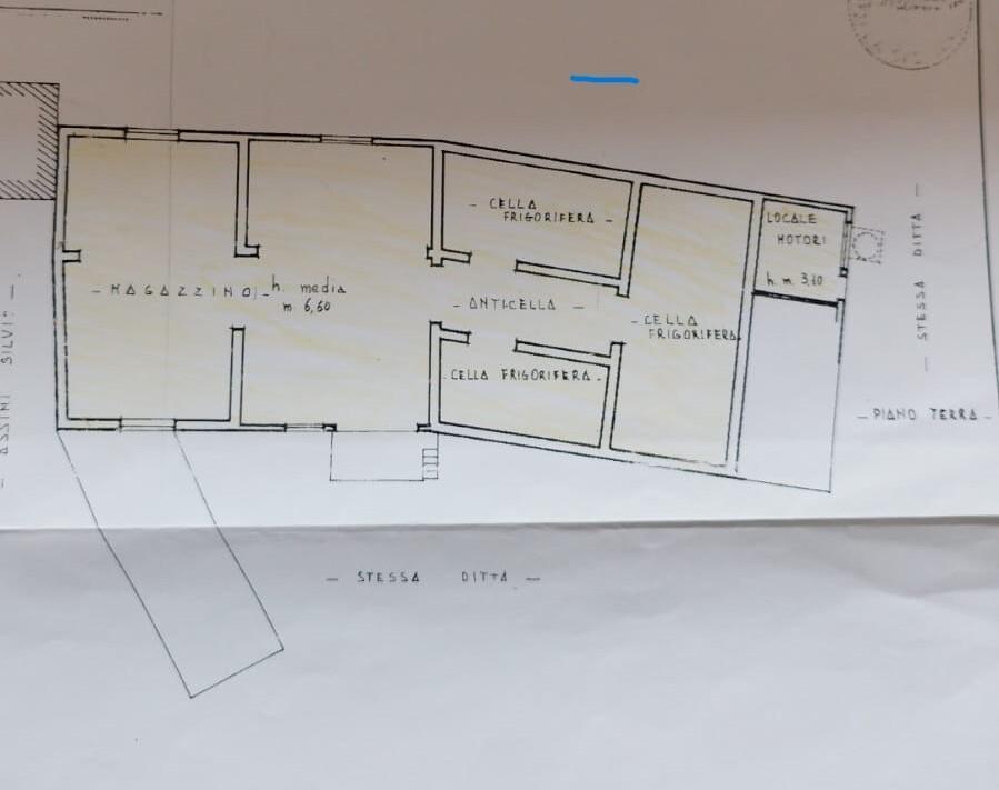 Affitto Quadrivani, Sarzana foto