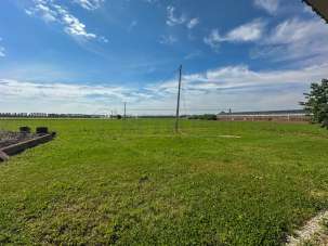 Vendita Terreni, Pavia di Udine