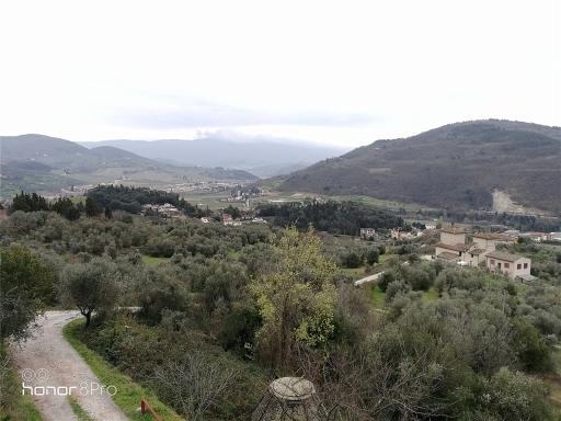 Affitto CIVILE ABITAZIONE, Fiesole foto