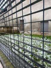 Vendita Casa Indipendente, Osio Sotto